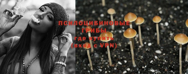 MESCALINE Богородицк